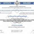 Ingrandire l'immagine: certificate 2