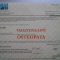 Ingrandire l'immagine: certificate 5