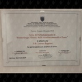 Ingrandire l'immagine: certificate 2