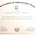Ingrandire l'immagine: certificate 9