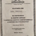 Ingrandire l'immagine: certificate 5