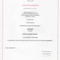 Ingrandire l'immagine: certificate 3