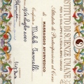 Ingrandire l'immagine: certificate 10