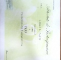Ingrandire l'immagine: certificate 30