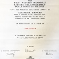 Ingrandire l'immagine: certificate 1