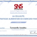 Ingrandire l'immagine: certificate 3