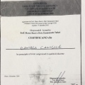 Ingrandire l'immagine: certificate 21