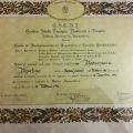 Ingrandire l'immagine: certificate 5