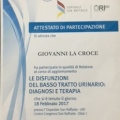 Ingrandire l'immagine: certificate 12