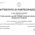Ingrandire l'immagine: certificate 8