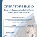 Ingrandire l'immagine: certificate 4