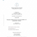 Ingrandire l'immagine: certificate 1