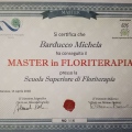 Ingrandire l'immagine: certificate 1