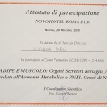 Ingrandire l'immagine: certificate 17