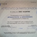 Ingrandire l'immagine: certificate 7