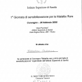 Ingrandire l'immagine: certificate 29