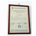 Ingrandire l'immagine: certificate 2