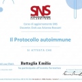Ingrandire l'immagine: certificate 2