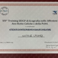 Ingrandire l'immagine: certificate 12
