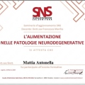 Ingrandire l'immagine: certificate 1