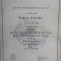 Ingrandire l'immagine: certificate 11