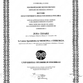 Ingrandire l'immagine: certificate 2