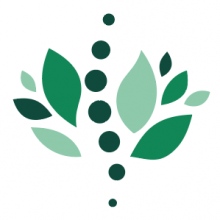 Mente & Corpo Concept