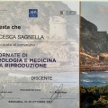 Ingrandire l'immagine: certificate 3