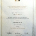 Ingrandire l'immagine: certificate 2