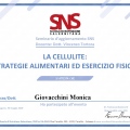Ingrandire l'immagine: certificate 12