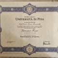 Ingrandire l'immagine: certificate 6