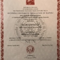 Ingrandire l'immagine: certificate 12