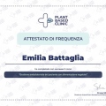Ingrandire l'immagine: certificate 1