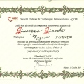 Ingrandire l'immagine: certificate 1