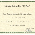 Ingrandire l'immagine: certificate 5