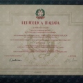 Ingrandire l'immagine: certificate 2