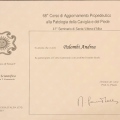 Ingrandire l'immagine: certificate 3