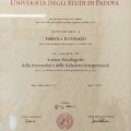 Ingrandire l'immagine: certificate 3