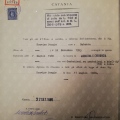 Ingrandire l'immagine: certificate 1