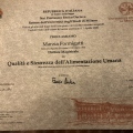 Ingrandire l'immagine: certificate 4