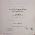 Ingrandire l'immagine: certificate 13