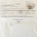 Ingrandire l'immagine: certificate 3