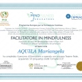 Ingrandire l'immagine: certificate 1