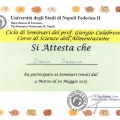 Ingrandire l'immagine: certificate 7