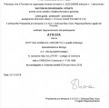Ingrandire l'immagine: certificate 11