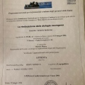 Ingrandire l'immagine: certificate 1