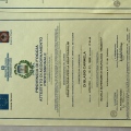 Ingrandire l'immagine: certificate 19