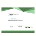 Ingrandire l'immagine: certificate 17