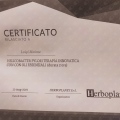 Ingrandire l'immagine: certificate 28