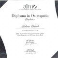 Ingrandire l'immagine: certificate 1